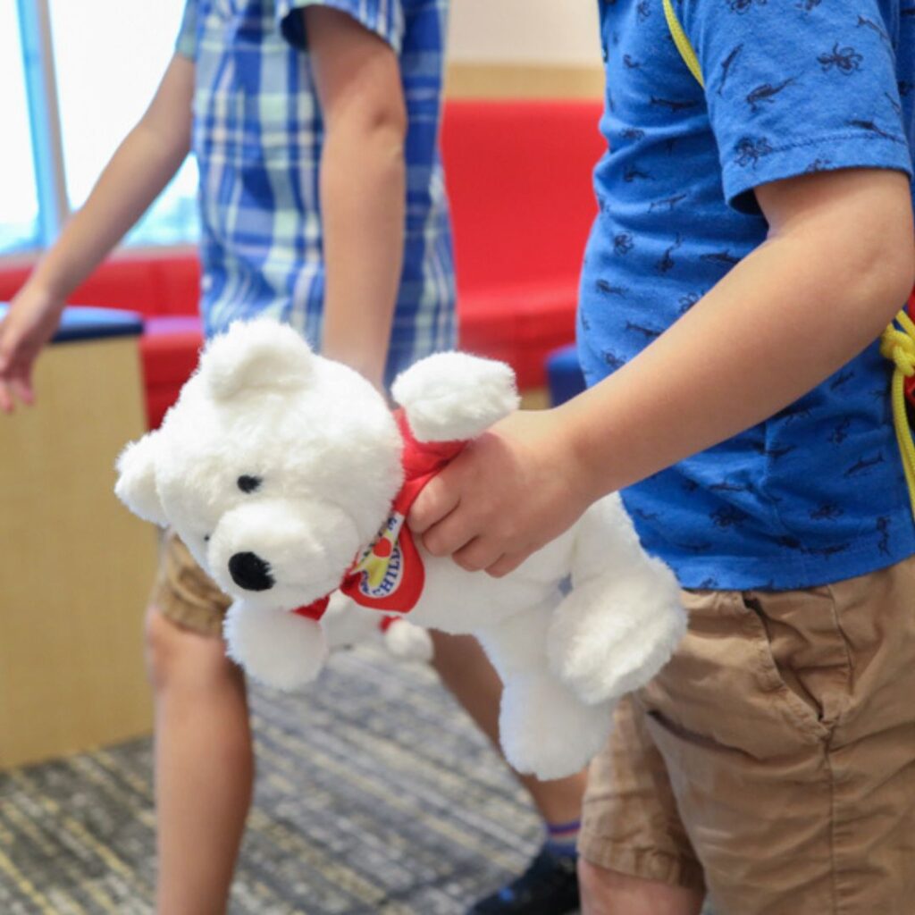 molar-bear-waiting-room-fun-zone